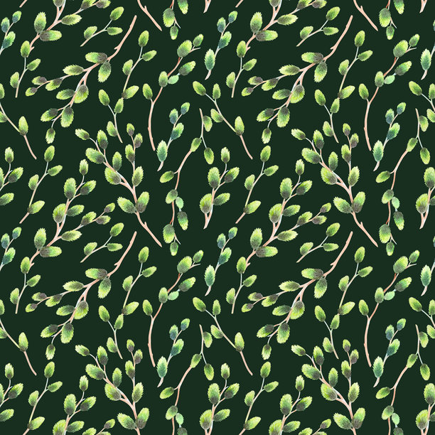 柳枝无缝图案，绿色背景。水彩插画。适用于面料、壁纸、包装纸、贺卡、设计、装饰和插画。图片下载