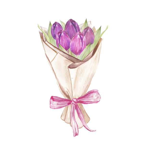 水彩风格的郁金香插画集，有各种形状和颜色图片下载