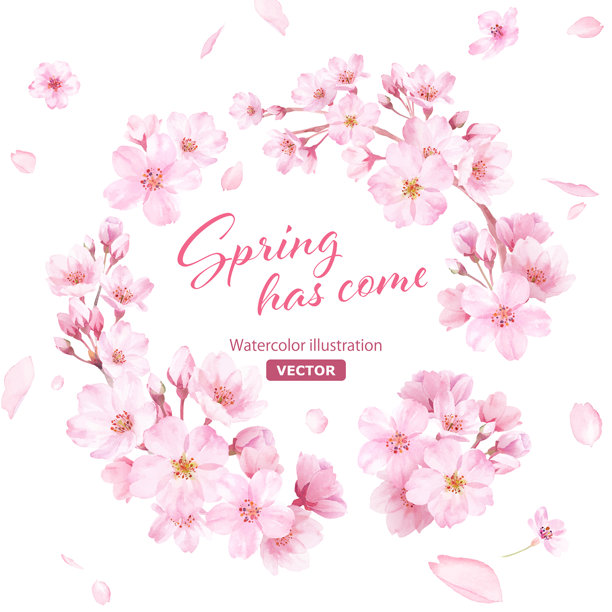 春天的花朵：由水彩樱花插画组成的圆形装饰框架。花瓣背景。（矢量图）图片下载