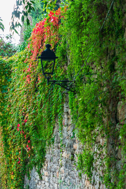 迷人的复古街灯，坐落在绿意盎然的花园中，缠绕着藤蔓的石墙上图片下载