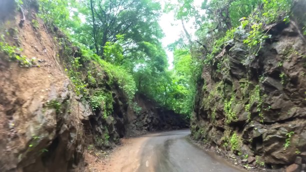 一张户外照片，展示了一条穿过覆盖着鲜艳绿色植物的岩石构造的道路。图片下载