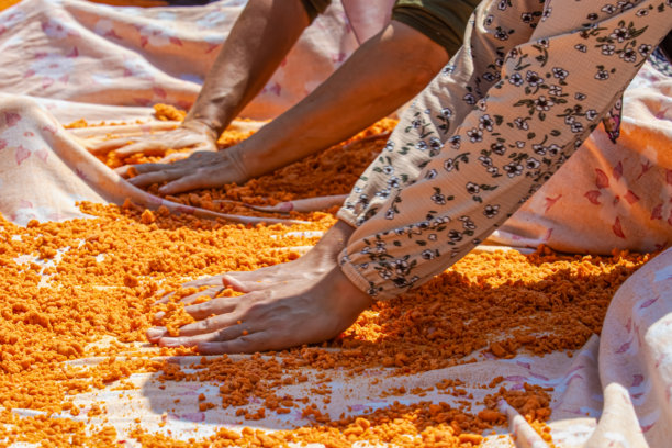 白天拍摄的“塔尔哈那”准备照片，这是真实乡村生活中最重要的传统冬季食物准备。图片下载