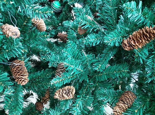 蓝色的圣诞云杉树，带有松果。常绿松树枝叶照片背景。冷杉背景表面壁纸，用于网页设计。人造松树针叶带松果。图片下载