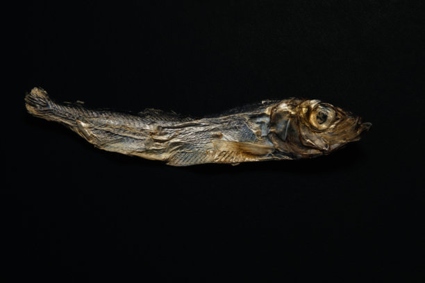 黑色背景上的小鱼干：质朴纹理的海鲜静物，供图库使用图片下载