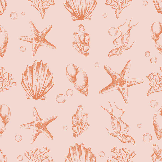 手绘无缝海星、海螺、珊瑚、海绵和海藻图案，适用于海洋主题纺织品、壁纸、印刷品和包装纸。轮廓图形插画图片下载