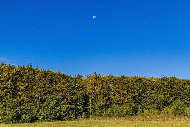 风景，森林，喀尔巴阡山，欧洲自然照片，东欧图片下载