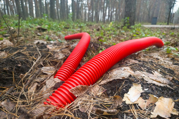红色的波纹状电线管从落叶覆盖的森林地面中伸出。公用设施基础设施、排水系统、户外安装。真实照片。图片下载