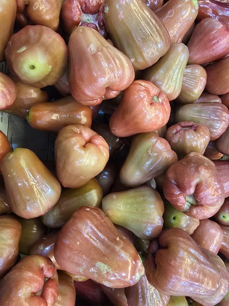 高质量的热带水果图片图片下载