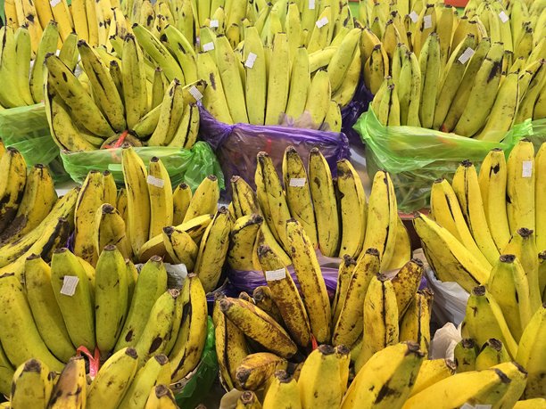 高质量的热带水果图片图片下载