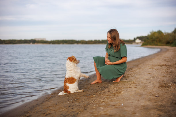穿着绿色连衣裙的孕妇在湖边与狗散步。主人在海边遛杰克罗素梗犬。宠物训练。孕妇肖像。图片下载