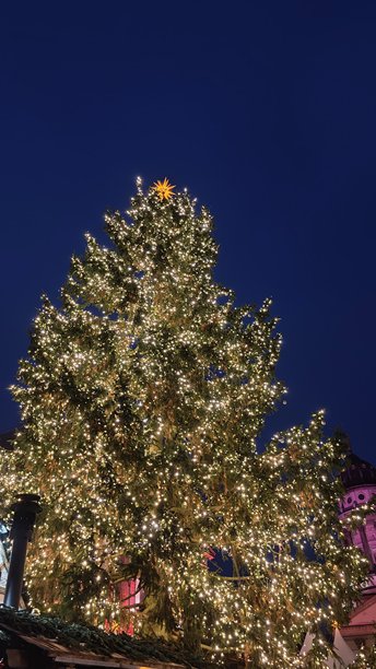夜幕下，巨大的户外圣诞树上装饰着闪烁的灯光和顶部的星星，背景是深邃的蓝色夜空。这张图片代表着节日庆典、城市节日气氛和喜悦。图片下载