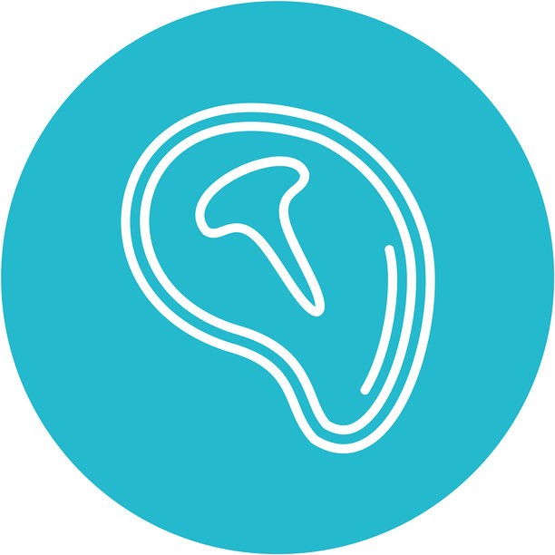 T骨牛排矢量图标图片下载