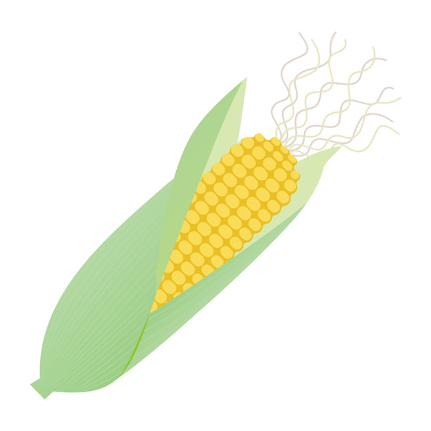 高碳水化合物蔬菜插画。蔬菜插画素材。图片下载