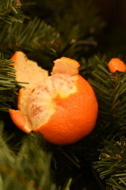 前景为模糊的树枝，竖幅照片，普通话图片下载