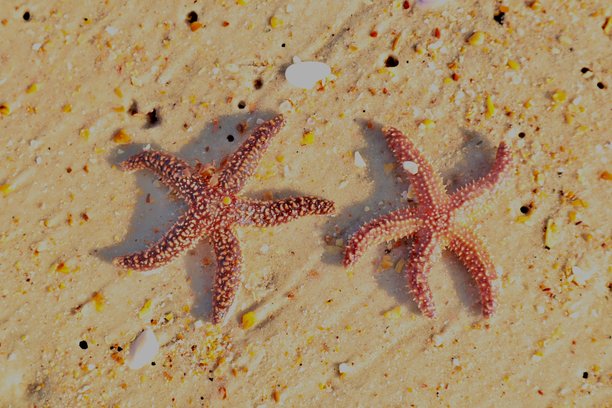 海滩素材图片下载