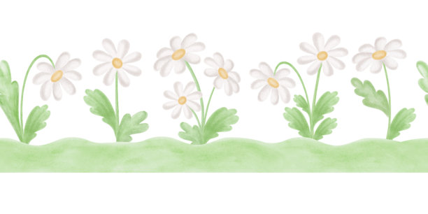 绿草坪上的洋甘菊及叶子，水彩风格的儿童设计无缝边框。白雏菊花卉插画边框，适用于婴儿主题。手绘孤立的花卉模板，用于纺织品、壁纸。图片下载