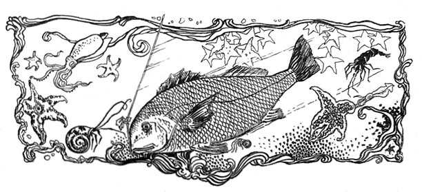 复古插画 - 一条巨大鱼类周围环绕着海星等海洋生物的华丽设计图片下载