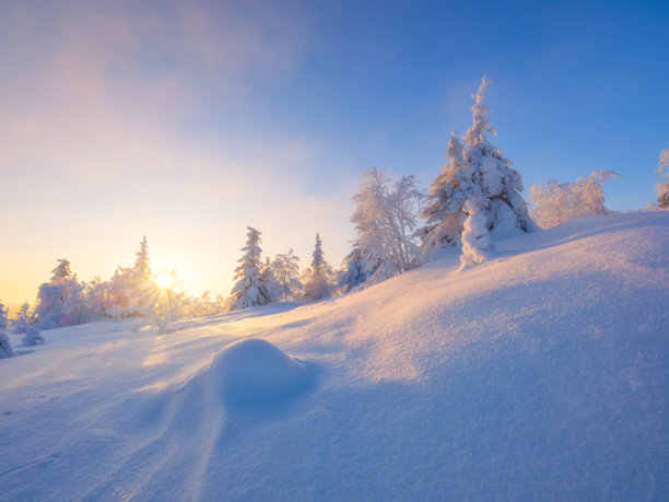 北国风光。蓬松雪景。冬日仙境。雪覆树木。晨曦中的冬日自然风光。自然景观。背景、壁纸、明信片。图片下载