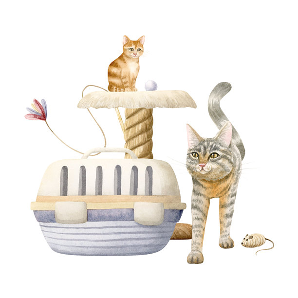 水彩棕色虎斑猫和橘色小猫在猫抓板上的孤立插画。手绘家养宠物剪贴画，包含宠物背包和玩具，适用于兽医、救援和领养中心。图片下载