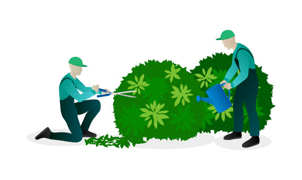 城市种植和园林绿化概念。工人在修剪灌木、浇水和照料植物。图片下载