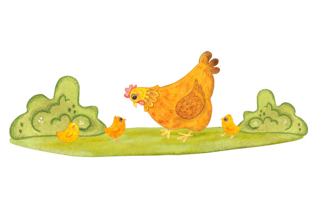 一只母鸡带着小鸡在绿色的草坪上散步。手绘水彩插画，卡通风格。农场，动物，鸟类，乡村，家禽养殖场，节日，儿童，复活节，鸡蛋，鸟，喙，农业，家庭，母鸡图片下载