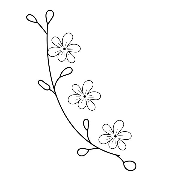 樱花花卉装饰线条艺术图矢量插画图片下载