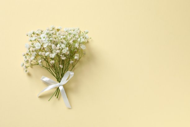 浅色背景上满天星花朵的俯视照片，带有空白空间图片下载