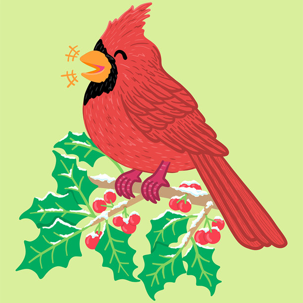 红衣主教鸟在挂有浆果的雪地冬青枝上大笑，扁平涂鸦手绘图片下载