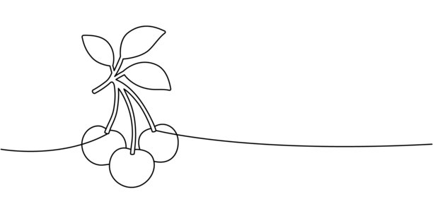 樱花树枝的连续线条画，带有三颗果实和叶子。极简的单线条水果轮廓插画，适用于植物和食品项目图片下载