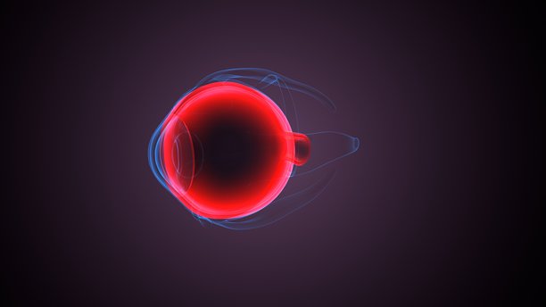 眼睛构造解剖图。3D插画图片下载