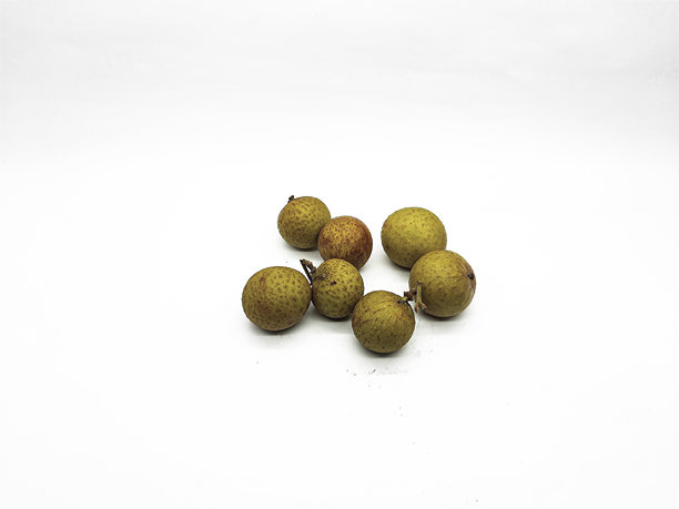 白色背景上的一组新鲜龙眼水果素材图图片下载