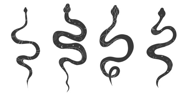 宇宙昆达里尼蛇形魔法线条纹身。波西米亚神秘蛇与月亮星星。黑色蛇剪影，象征精神觉醒、活力与内心平静。矢量插画图片下载