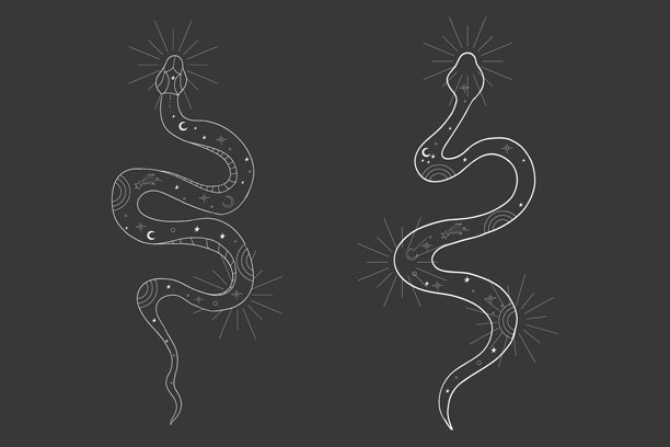 具有宇宙感的昆达里尼蛇形线条纹身。波西米亚神秘风格的蛇与月亮星星。黑色蛇剪影，象征精神觉醒、活力与内心的平静。矢量插画。图片下载
