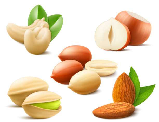 详细的坚果组合，包括开心果、榛子、杏仁、花生和腰果，孤立在白色背景上。健康的烹饪原料，富含蛋白质。写实3D矢量插画。图片下载