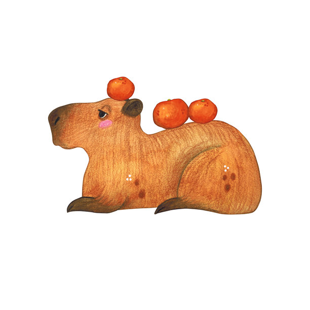 水彩插画手绘卡通，一只水豚躺着，背上放着一个橙子。适合印在蛋糕、贴纸、海报、织物上的绘画。动物、水果、啮齿动物、棕色、儿童图片下载