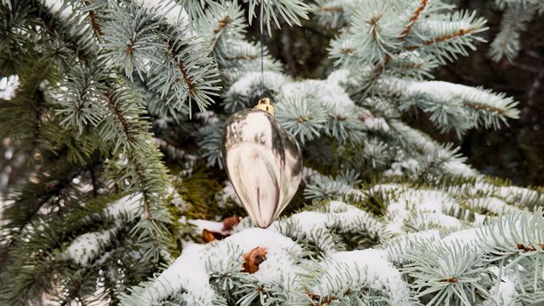 雪覆盖的圣诞冷杉树枝上，有一个银色的水滴形圣诞装饰品——优雅的冬季照片，适用于设计节日贺卡、季节性系列、博客布局和广告布局。图片下载