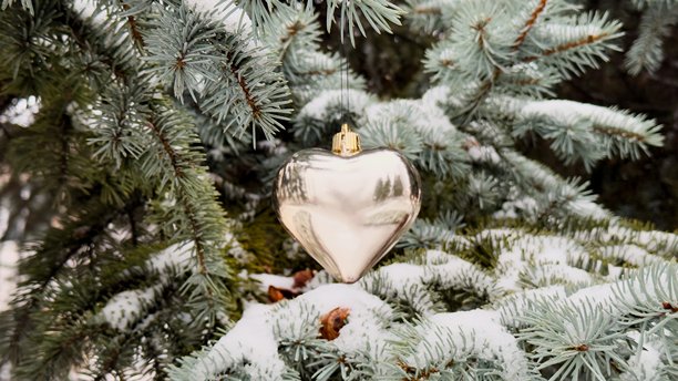 一颗心形的银色圣诞装饰挂在一根覆盖着雪的冷杉树枝上——这是一张富有情感的冬季照片，适用于设计节日贺卡、季节性系列、博客布局和广告布局。图片下载