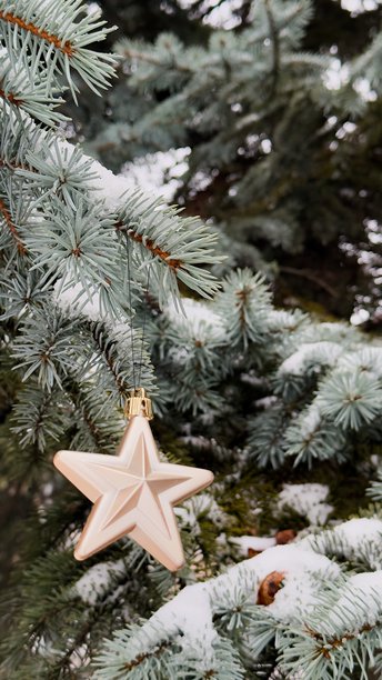 覆盖着雪的冷杉树枝，上面有一个饱满的装饰星星——一张富有氛围的冬季照片，适用于设计节日贺卡和季节性系列。图片下载