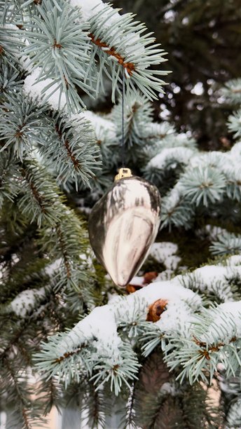雪覆盖的圣诞树枝上，一个银色的水滴形圣诞装饰物——这张优雅的冬季照片适合设计节日贺卡、季节性系列、博客布局和广告设计。图片下载