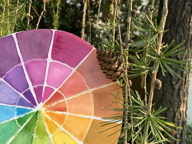 自然背景下，一张罗宾树叶和松果靠近色轮的图片图片下载