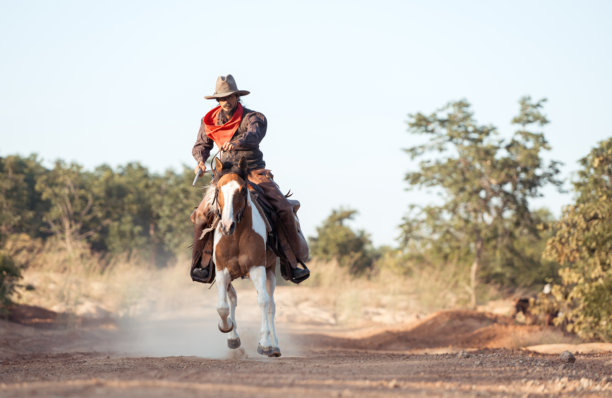 一匹马扬起前蹄，骑在马上的牛仔持着左轮手枪，画面经典而富有戏剧性图片下载