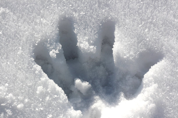 一个人类手印特写，深深地印在新鲜、阳光普照、闪闪发光的白雪中。这张照片捕捉了与冬日大自然短暂接触的对比和质感。图片下载