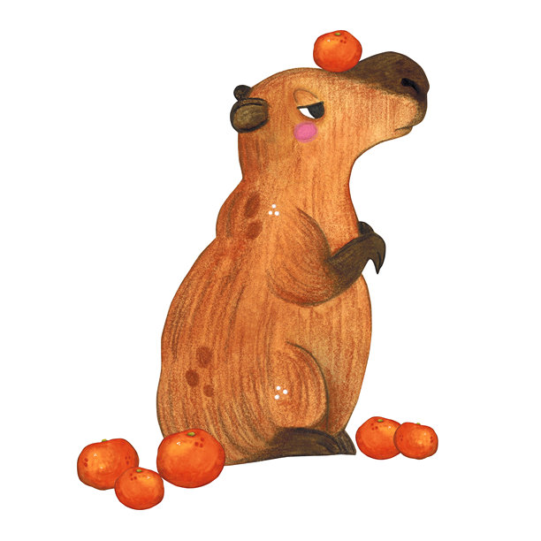 水彩插画，手绘卡通风格的草豚头顶放着橙子，站在橙子丛中。适合印在蛋糕、贴纸、海报、织物上的图案。动物，水果，啮齿动物图片下载