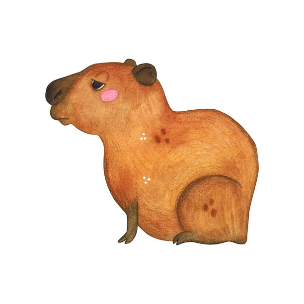 水彩插画手绘卡通水豚坐着。适合打印在蛋糕、贴纸、海报、织物上的图画。动物、啮齿动物、棕色、儿童、水豚、可爱图片下载