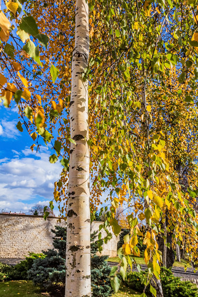 自然风光照片 - 欧洲，东欧图片下载