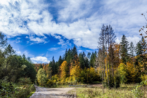 风景，森林，喀尔巴阡山脉，欧洲自然照片，东欧图片下载