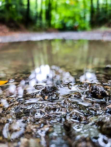 宏观照片，动物，自然 - 欧洲，东欧图片下载