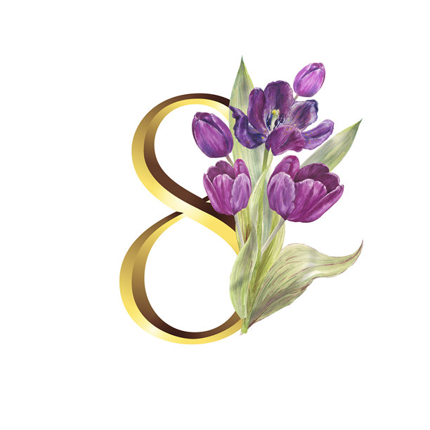 粉色、紫色和红色郁金香的纯色水彩花束，配有优雅的绿叶和形状如数字八的金色丝带。植物插画，黑色背景，非常适合春季、节日和女性化设计。图片下载