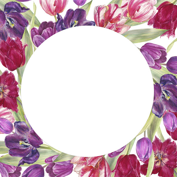 粉色、紫色和红色调盛开的郁金香水彩花环，排列成圆形框架。优雅的植物插画，孤立在黑色背景上，非常适合春季设计和浪漫项目。图片下载