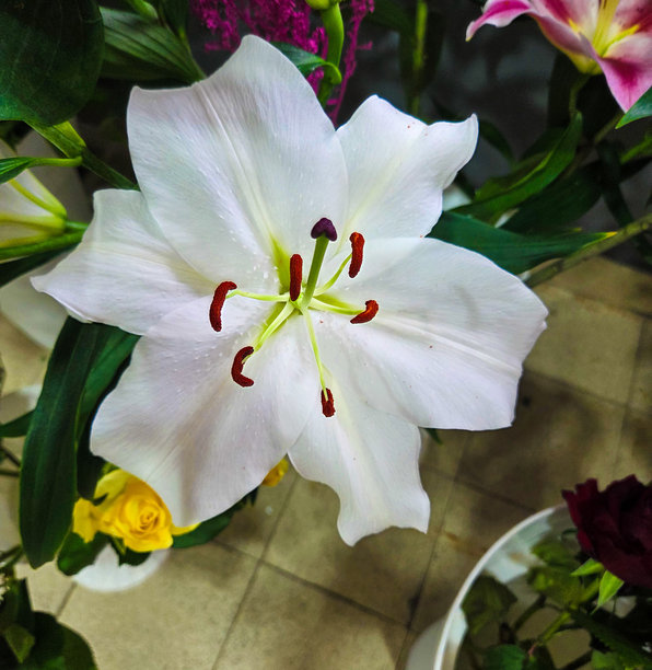 精美的鲜花和花束照片图片下载